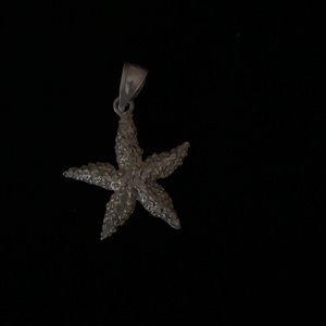 Starfish Pendant